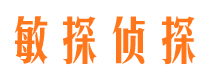 东湖市私家侦探